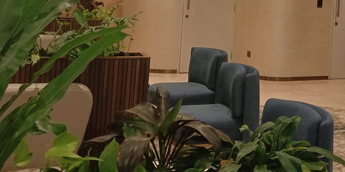 The seating area in the 080 VIP Arrivals Lounge at Kempegowda Airport features comfortable chairs and decorative plants for relaxation.