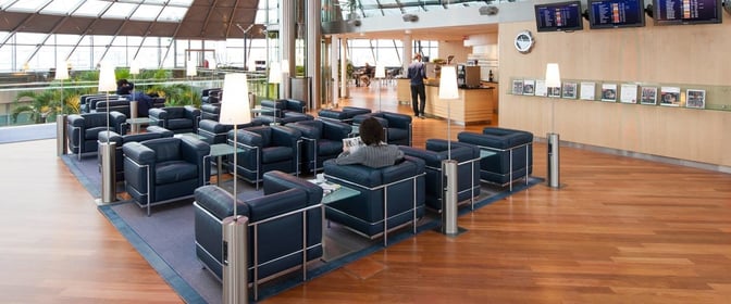 The Skyview Lounge at EuroAirport features a seating area with armchairs, individual lamps, and a nearby bar service counter.