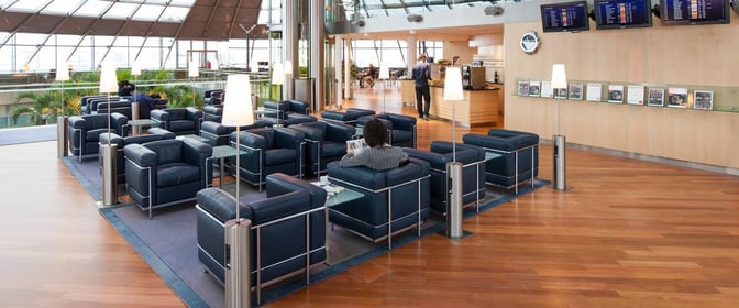 The Skyview Lounge at EuroAirport features a seating area with armchairs, individual lamps, and a nearby bar service counter.