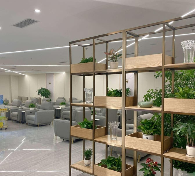 The China Southern Skypearl Lounge at Guiyang Longdongbao International Airport features a seating area with armchairs and decorative plant shelving.