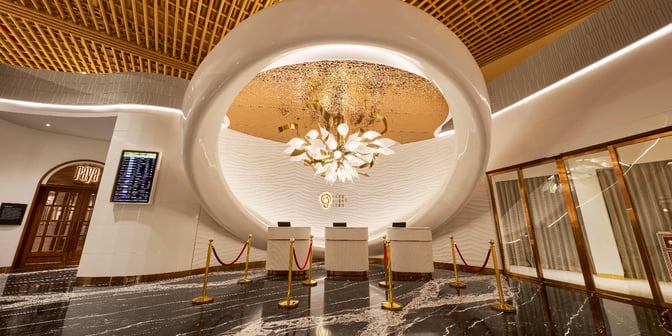 The entrance to the 080 Domestic Lounge at Kempegowda Airport features check-in counters and a decorative ceiling fixture.