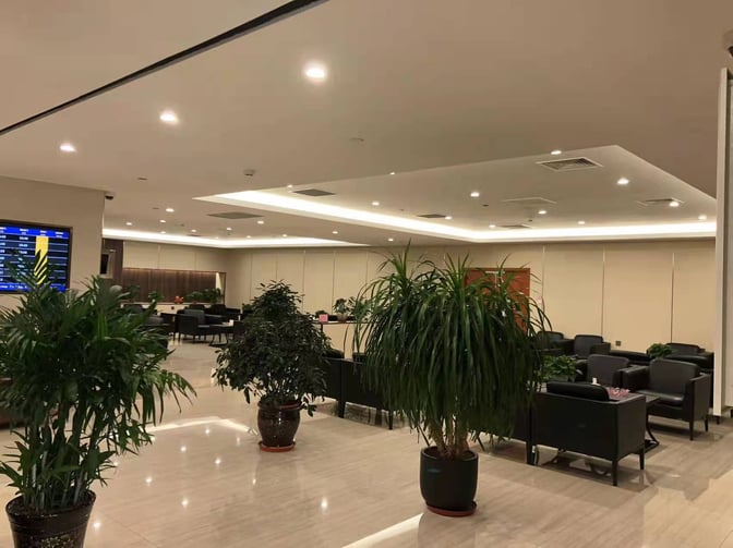 The First Class Lounge at Lhasa Gonggar Airport features seating areas with armchairs and potted plants, providing a comfortable waiting space.