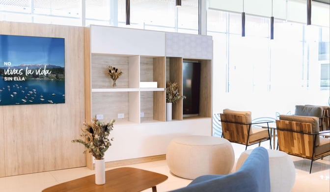 The seating area in Ezeiza Lounge at Ministro Pistarini International Airport features comfortable chairs and a decorative shelving unit with plants.