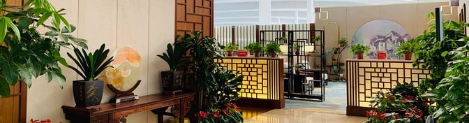 The China Eastern Airlines V3 Lounge at Nanjing Lukou International Airport features a plant-decorated seating area with partitioned sections for privacy.