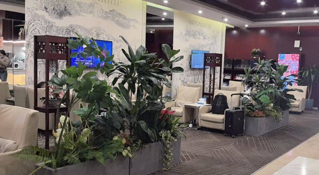 The seating area in China Southern First/Business Class Lounge at Shenyang Airport features comfortable chairs and decorative plants for relaxation.