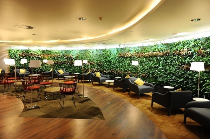 The seating area in the Amedee Maingard Lounge features armchairs and tables, with a green wall providing a relaxing backdrop.