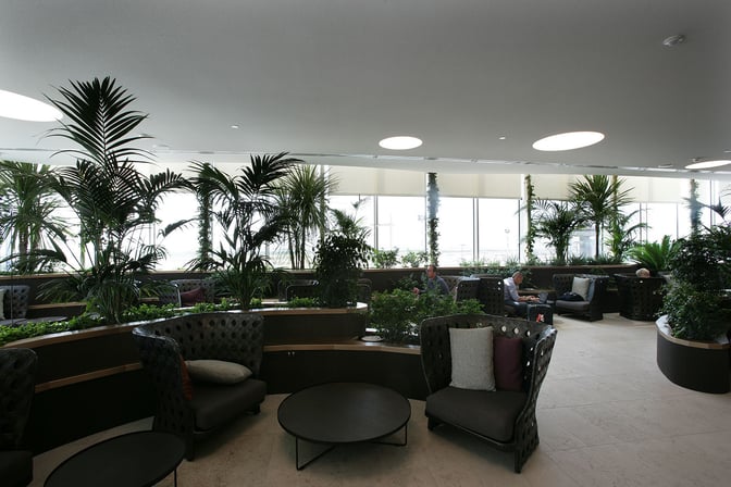 The seating area in the Marco Polo Club at Venice Marco Polo Airport features comfortable chairs surrounded by lush greenery.