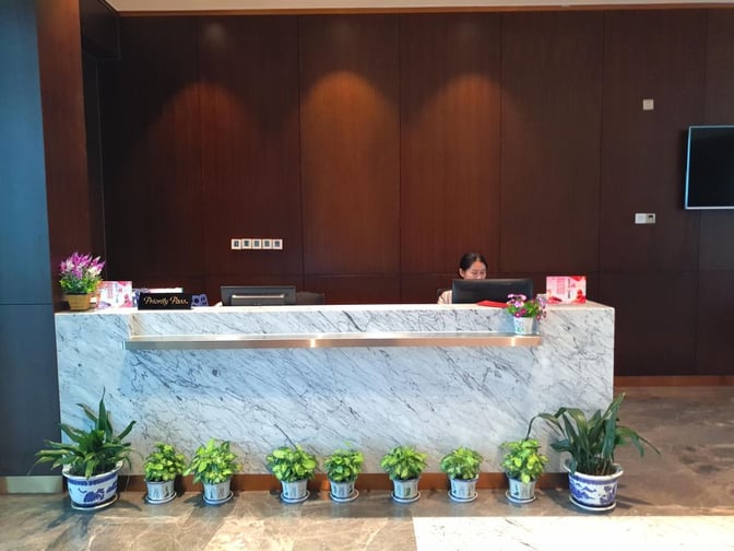 The reception desk at Wuhan Tianhe International Airport's No. 6 Lounge features a marble counter with potted plants and Priority Pass signage.