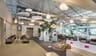 The Canopy Lounge